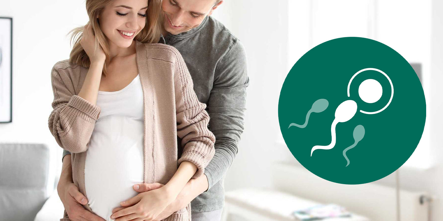 Boost Fertility Naturally: Effective Lifestyle Changes & BeatNaturally’s Fertility Nourisher